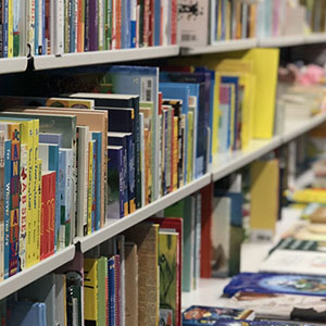 Shelves hold rows of colorful books. The setting appears to be a library or bookstore. Books are neatly arranged vertically and horizontally, with additional items scattered on a lower surface