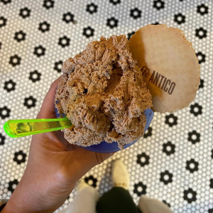 Hand holding a blue cup of chocolate gelato with a green spoon and a wafer labeled 