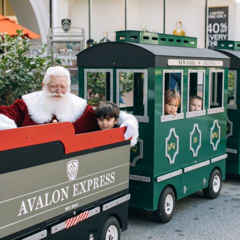 Jingle Jog at The Hotel at Avalon - Experience Avalon